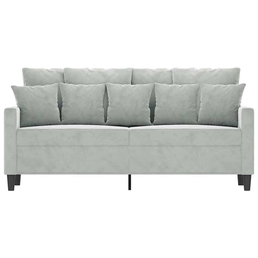 Light Gray Velvet 2-Seater Sofa K159
