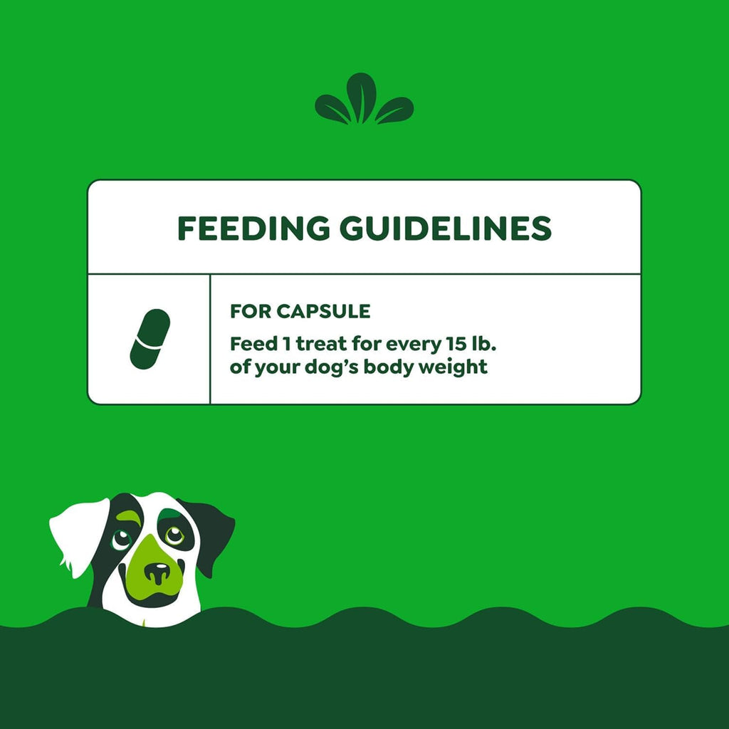 Chicken Flavor Capsule Treats for Dogs 15.8-Ounce 3 Pack G66259