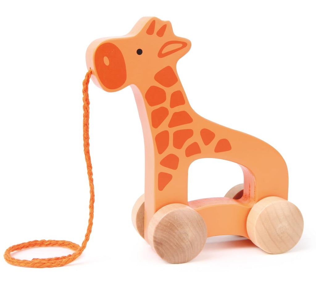 Wooden Push and Pull Toddler Toy B79753