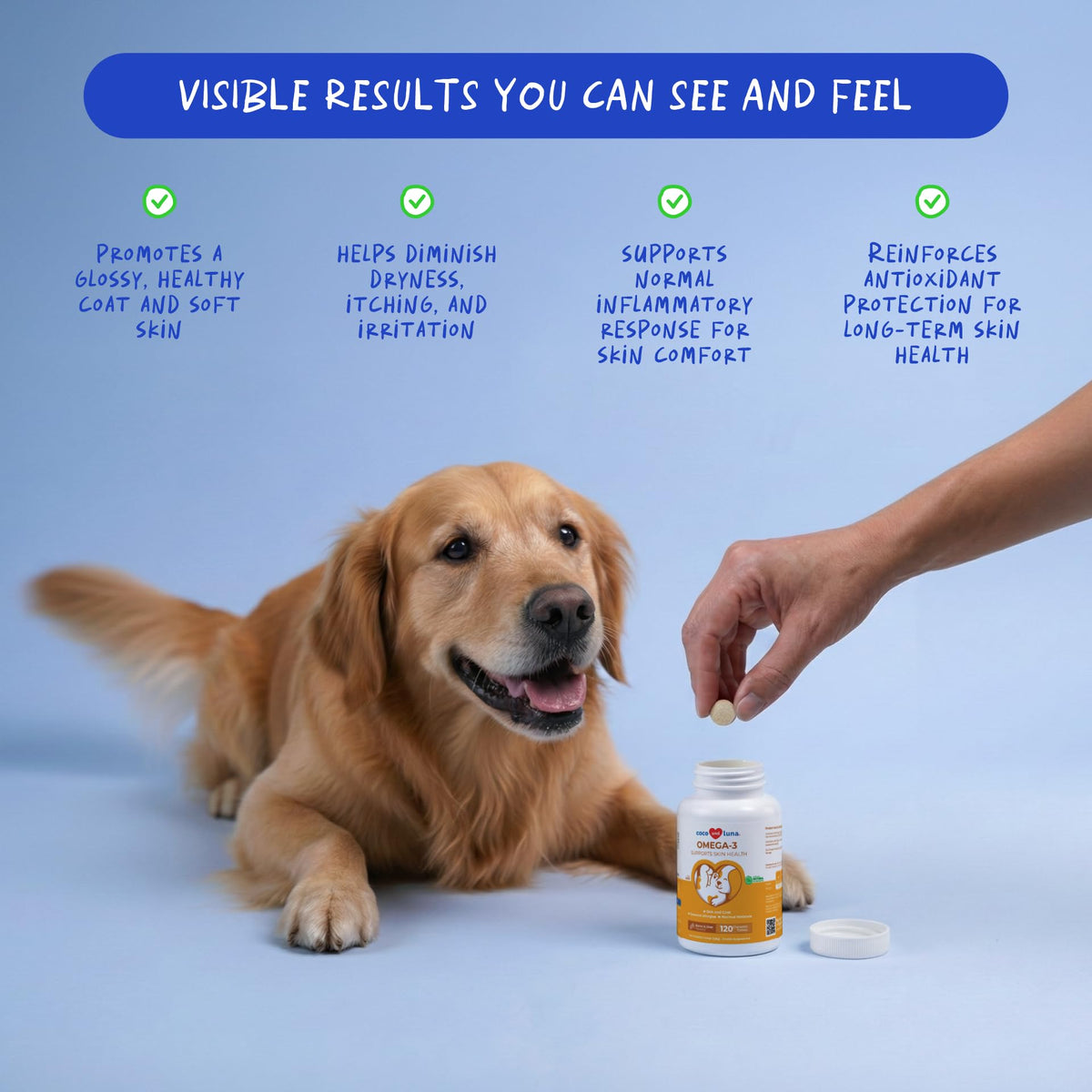 Omega 3 Fish Oil Skin and Coat Supplement D536