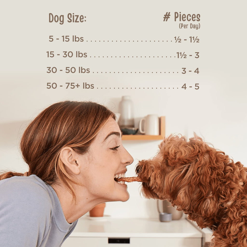 All Natural Human Grade Dog Treats Beef Savory Sticks 22 Ounce M611025