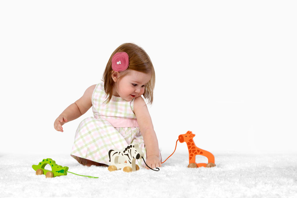 Wooden Push and Pull Toddler Toy B79753