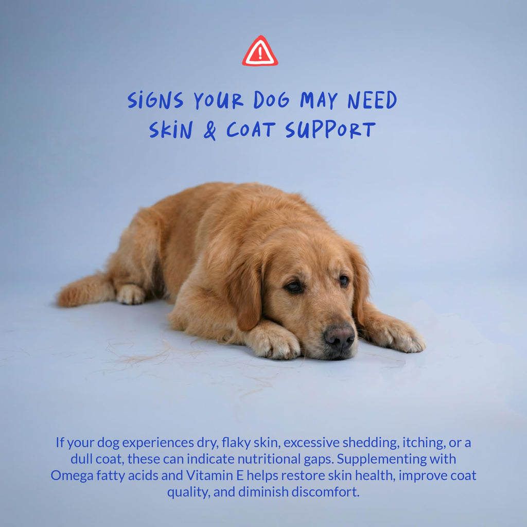 Omega 3 Fish Oil Skin and Coat Supplement D536
