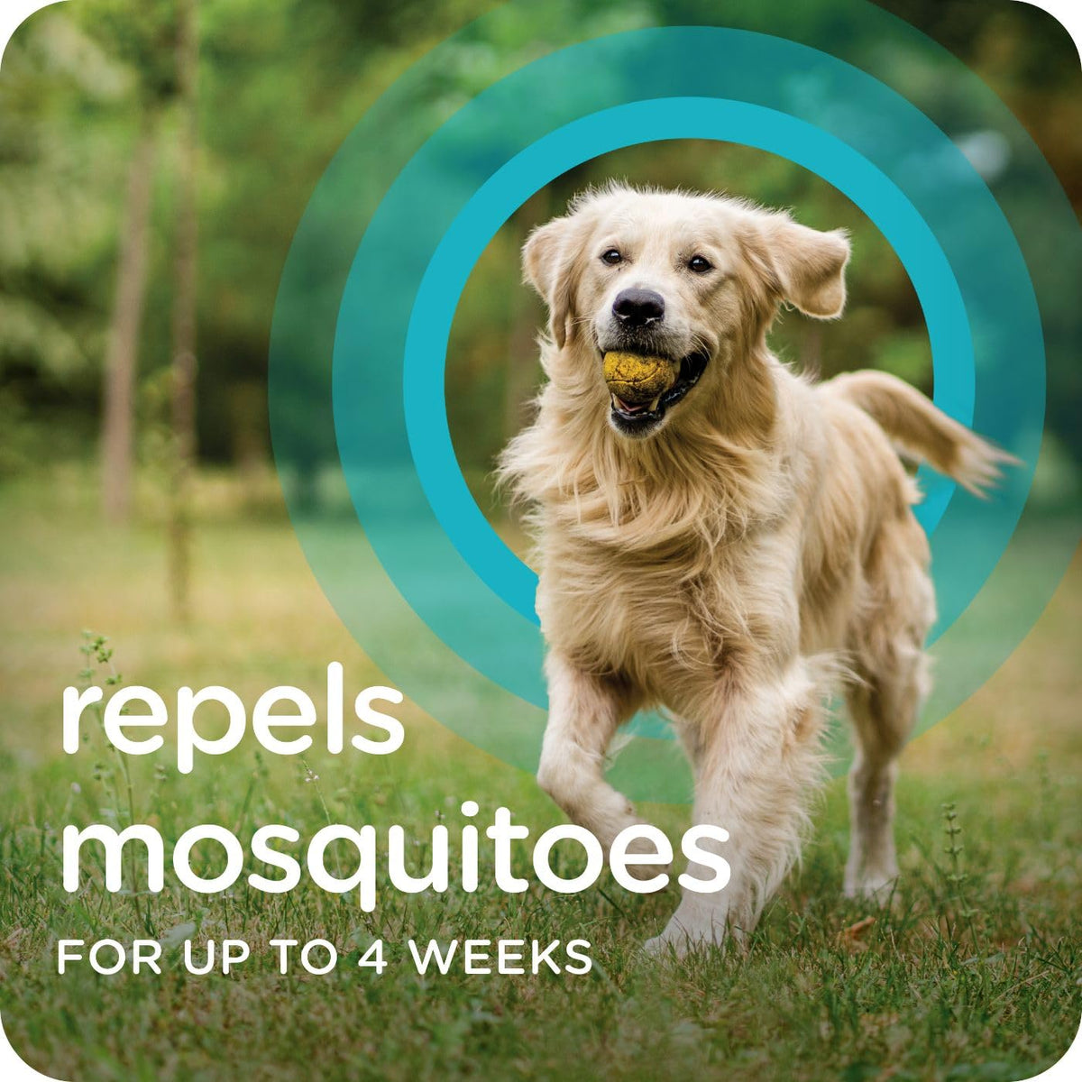Flea & Tick Topical Dogs 7-33 lbs 3-Month G833656