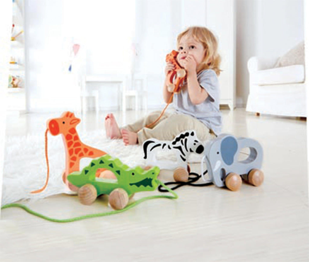 Wooden Push and Pull Toddler Toy B79753