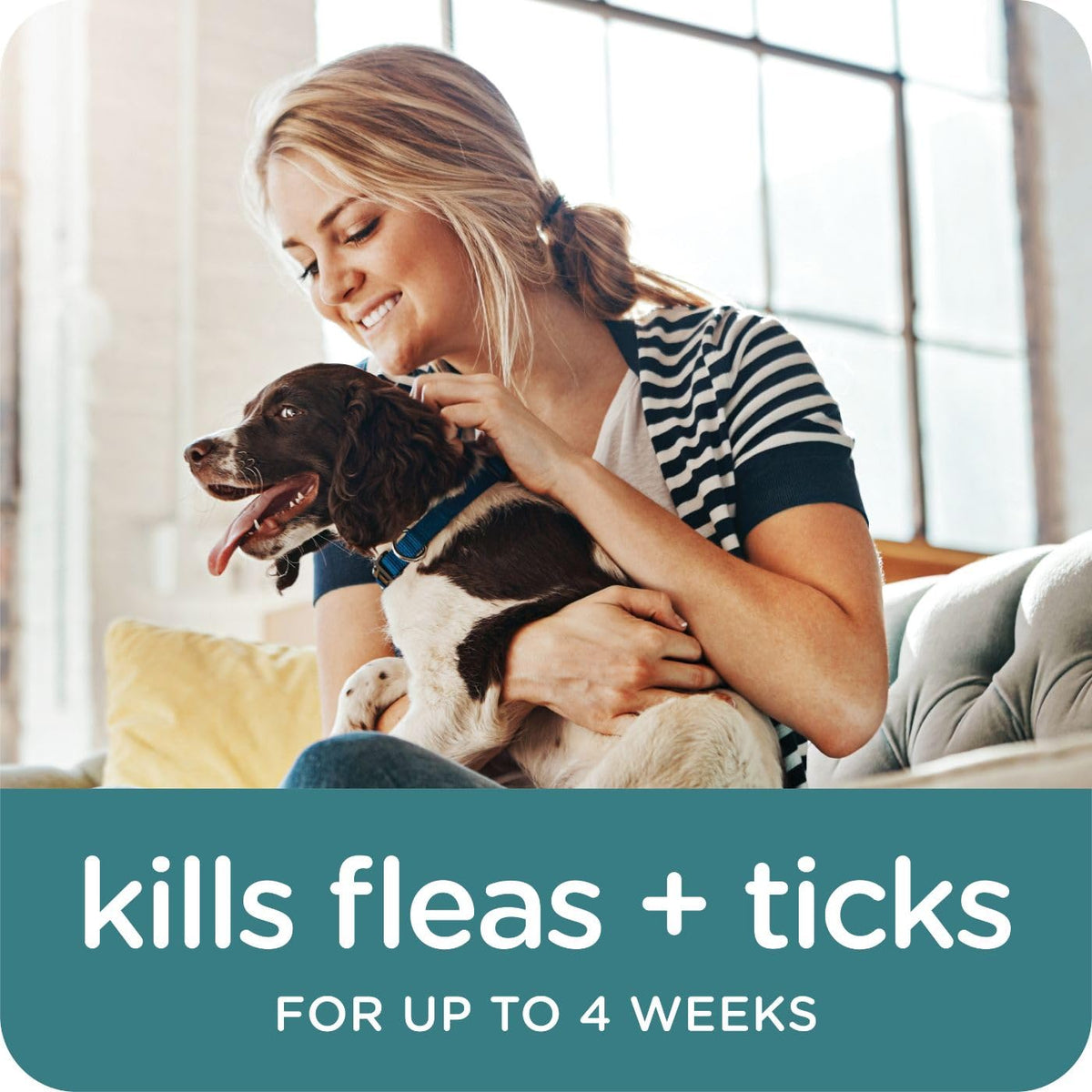 Flea & Tick Topical Dogs 7-33 lbs 3-Month G833656