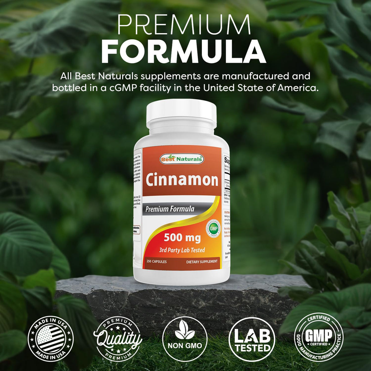 Cinnamon 500 mg 250 Capsules Pack of 2 D7559
