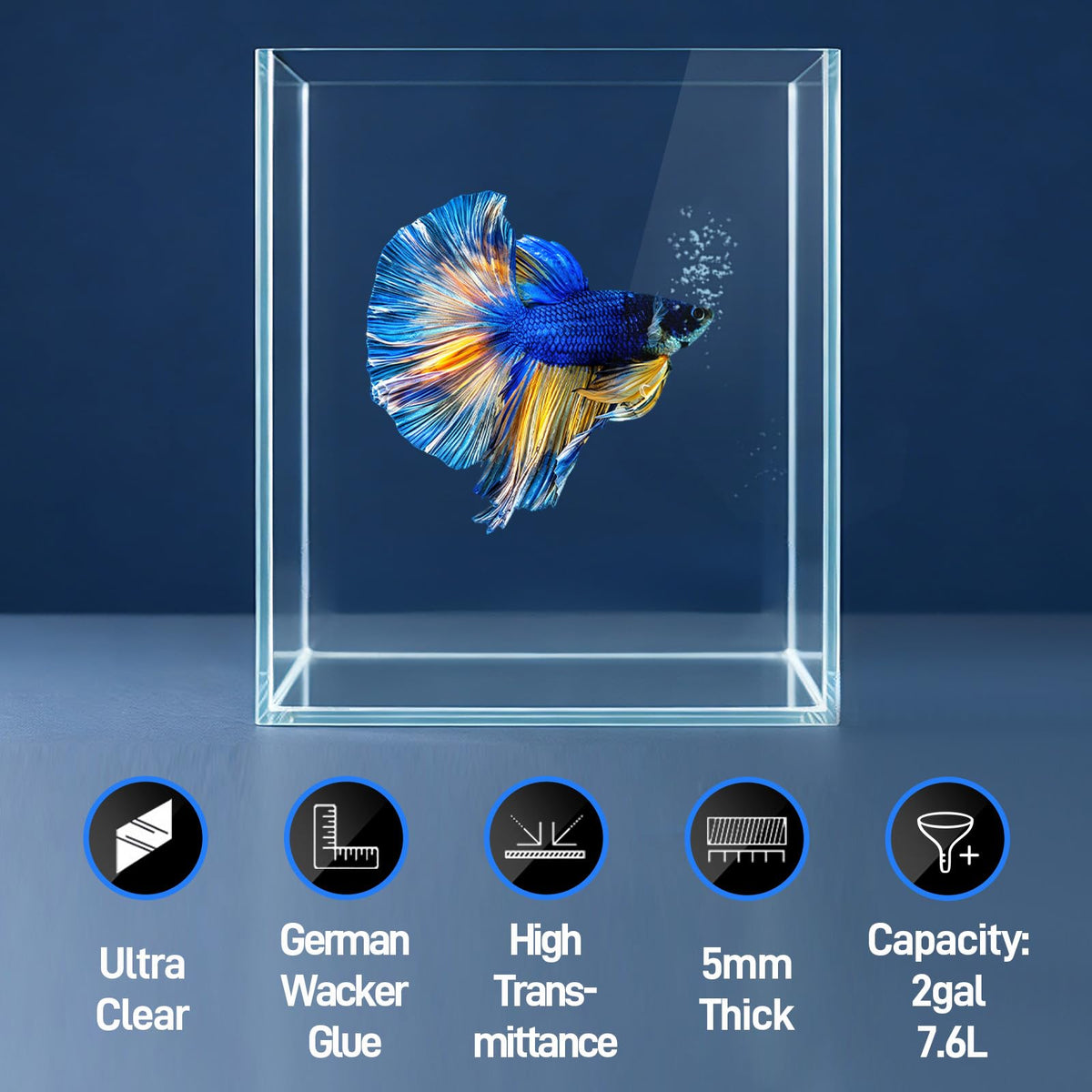 2 Gallon Glass Fish Tank Starter Kit with Fish Net V646