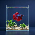 2 Gallon Glass Fish Tank Starter Kit with Fish Net V646