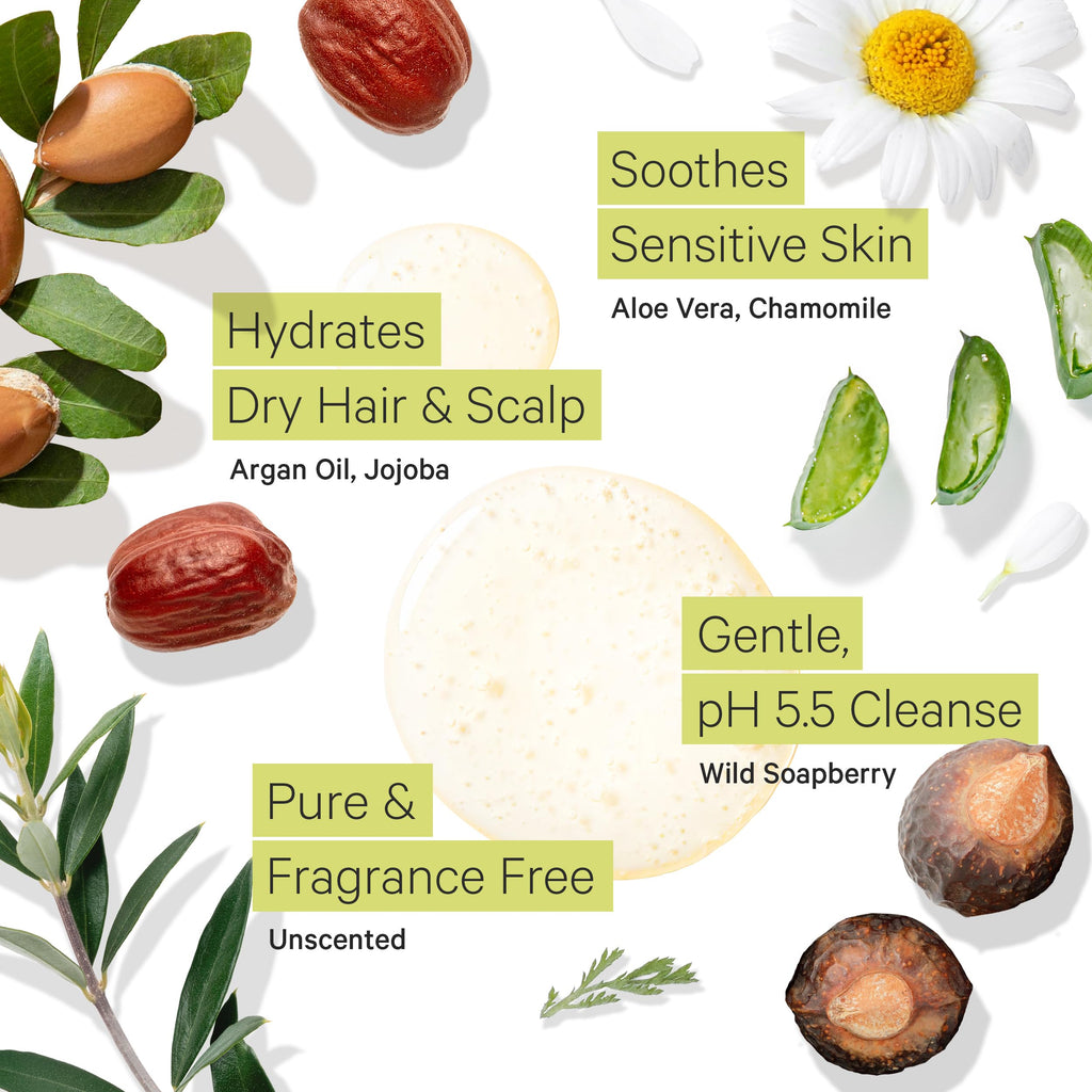 Fragrance Free Shampoo and Argan Oil Conditioner V466455