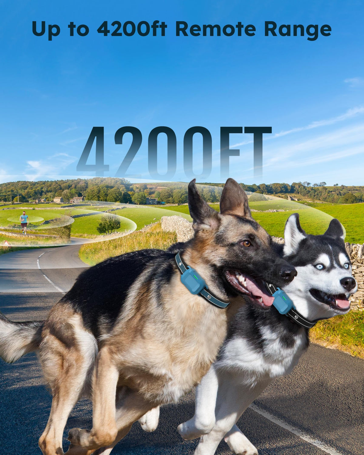 Dog Training Collar with Remote 2 Pack D22719