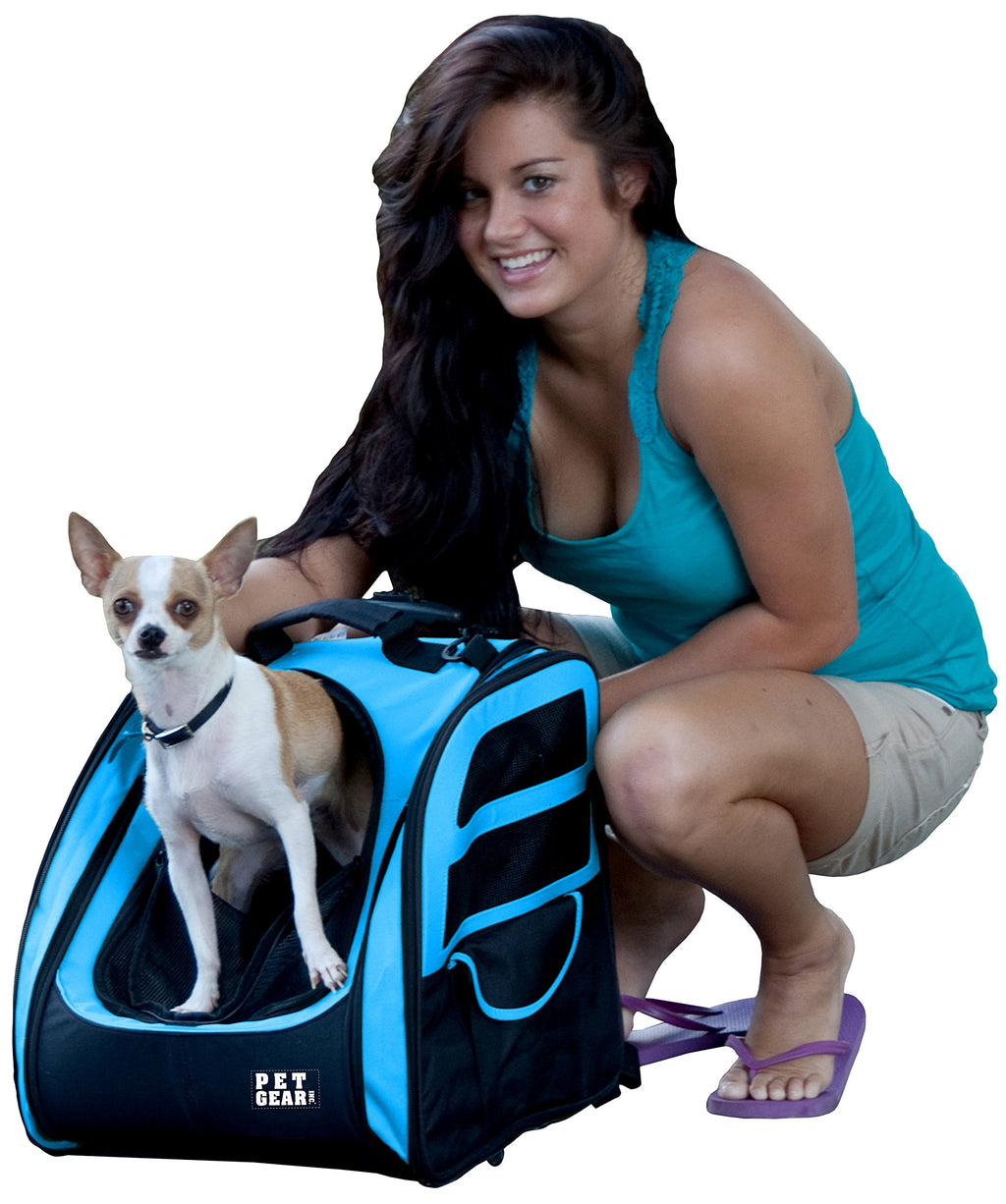 Large Traveler Backpack H45633