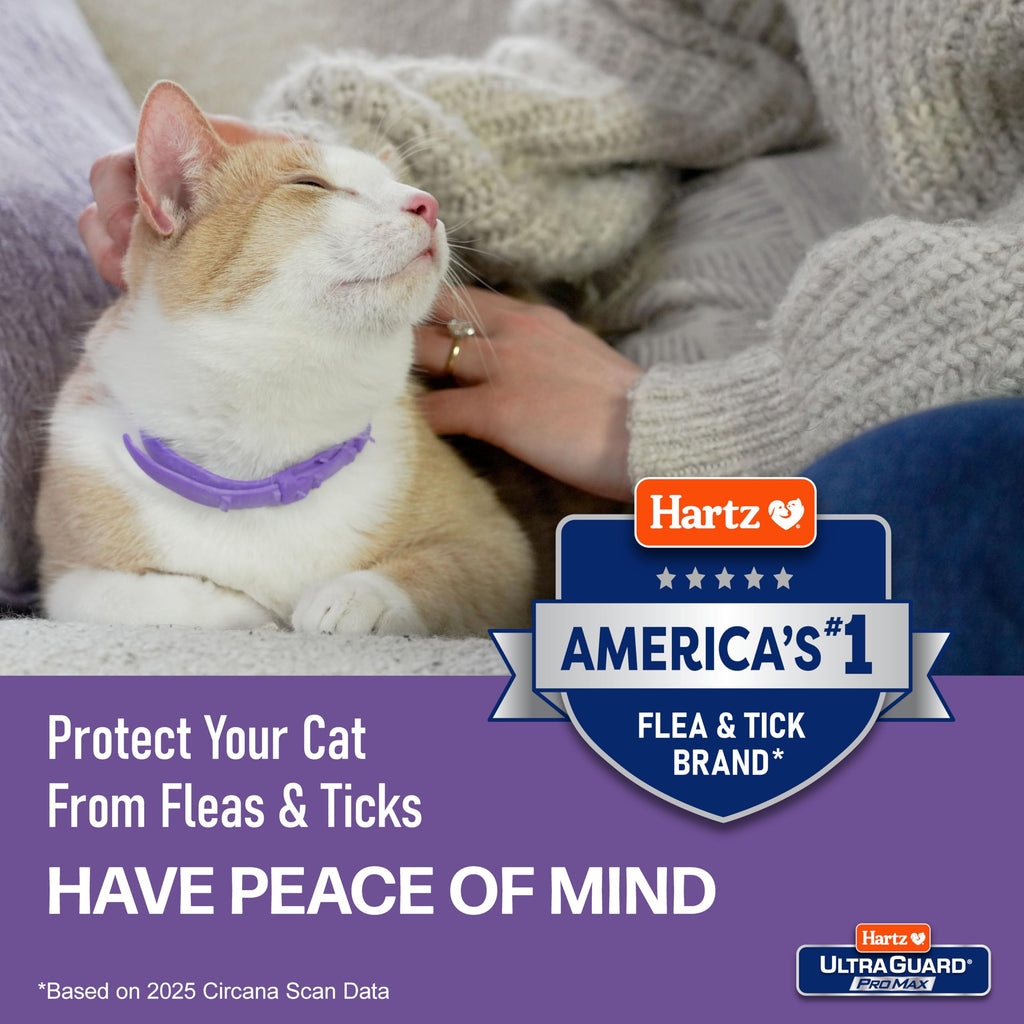 Flea & Tick Collar for Cats & Kittens 2 Pack H547