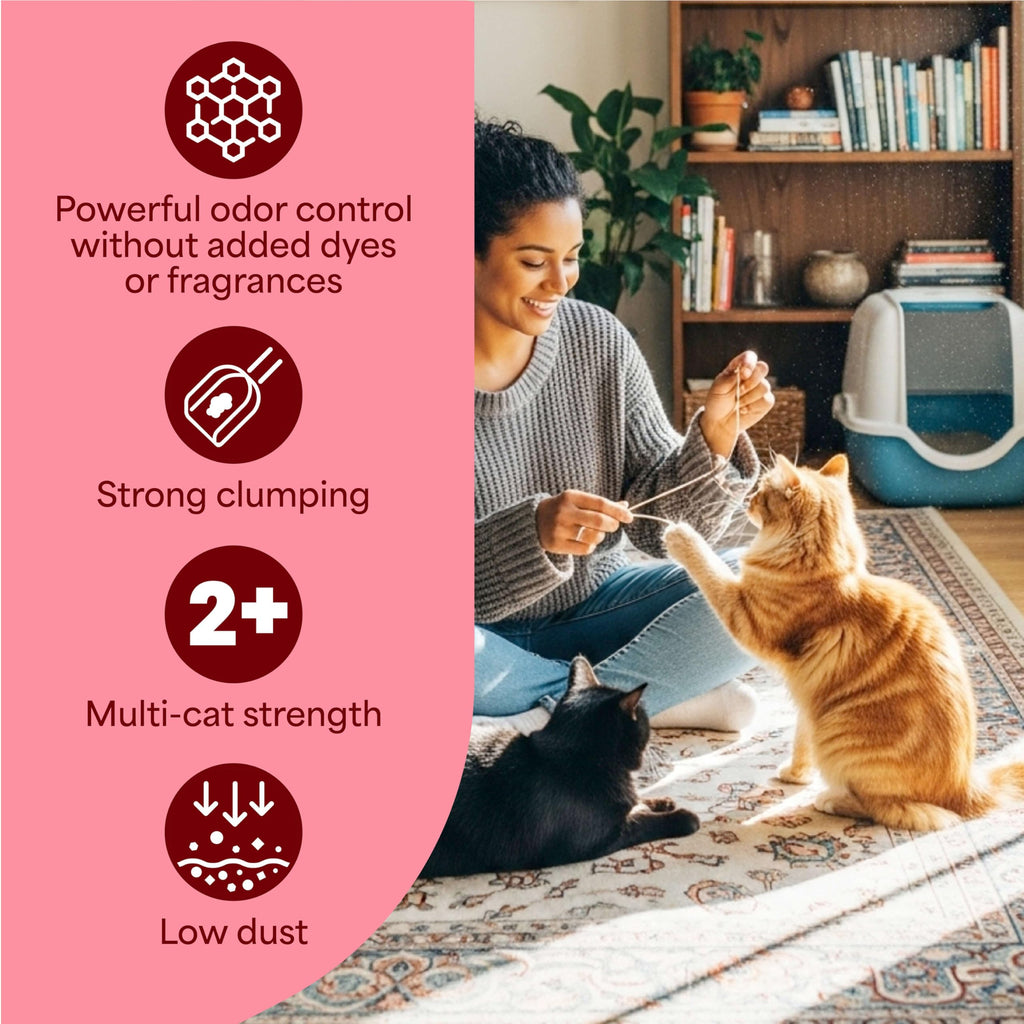 Unscented Multi Cat Clumping Litter, 18.5lb, 2Pk N31511