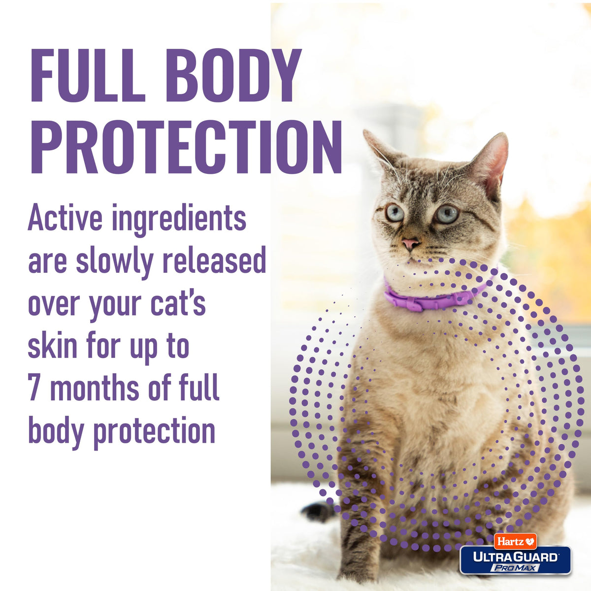 Flea & Tick Collar for Cats & Kittens 2 Pack H547