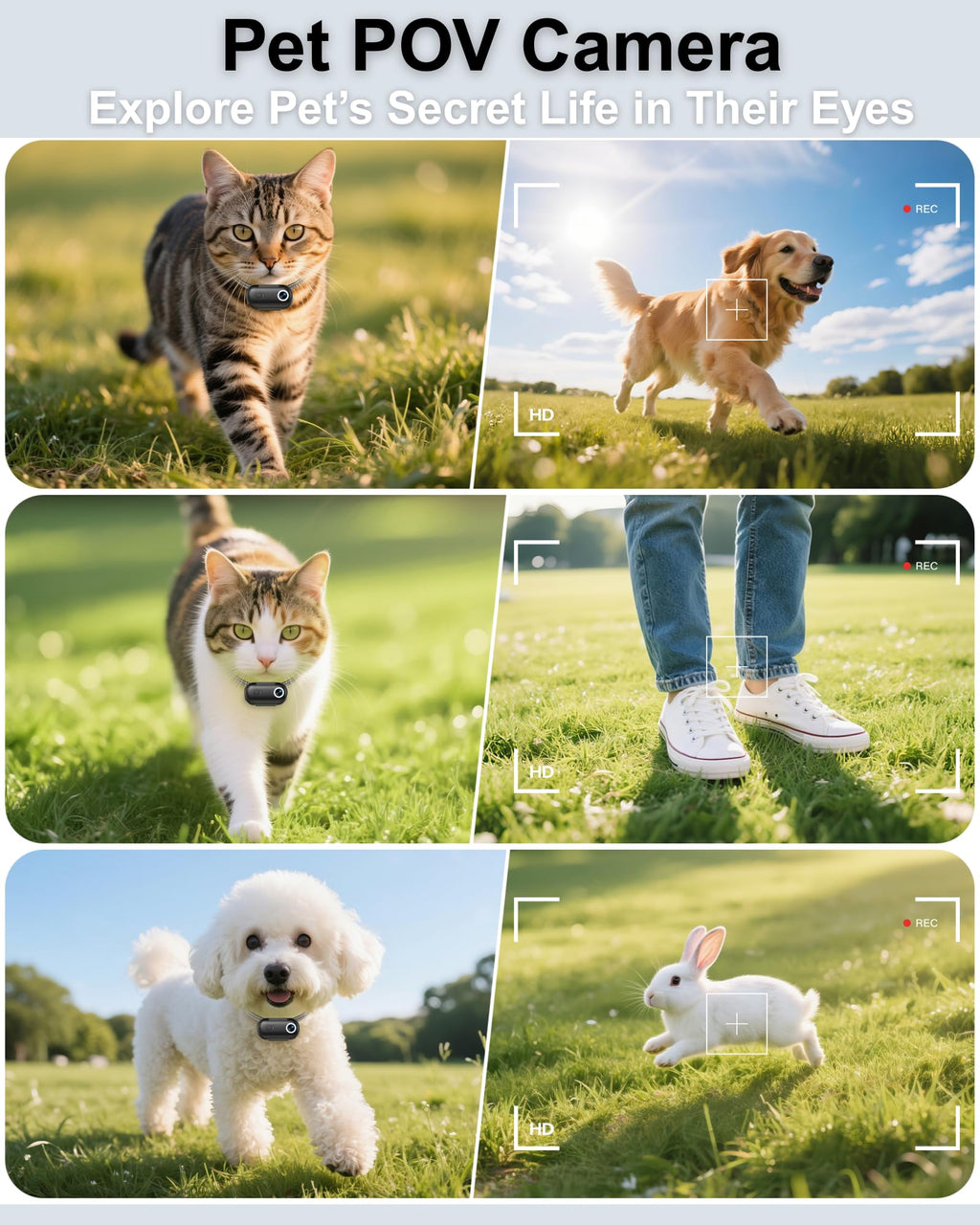 Cat Camera Collar with Location Tracker S4413