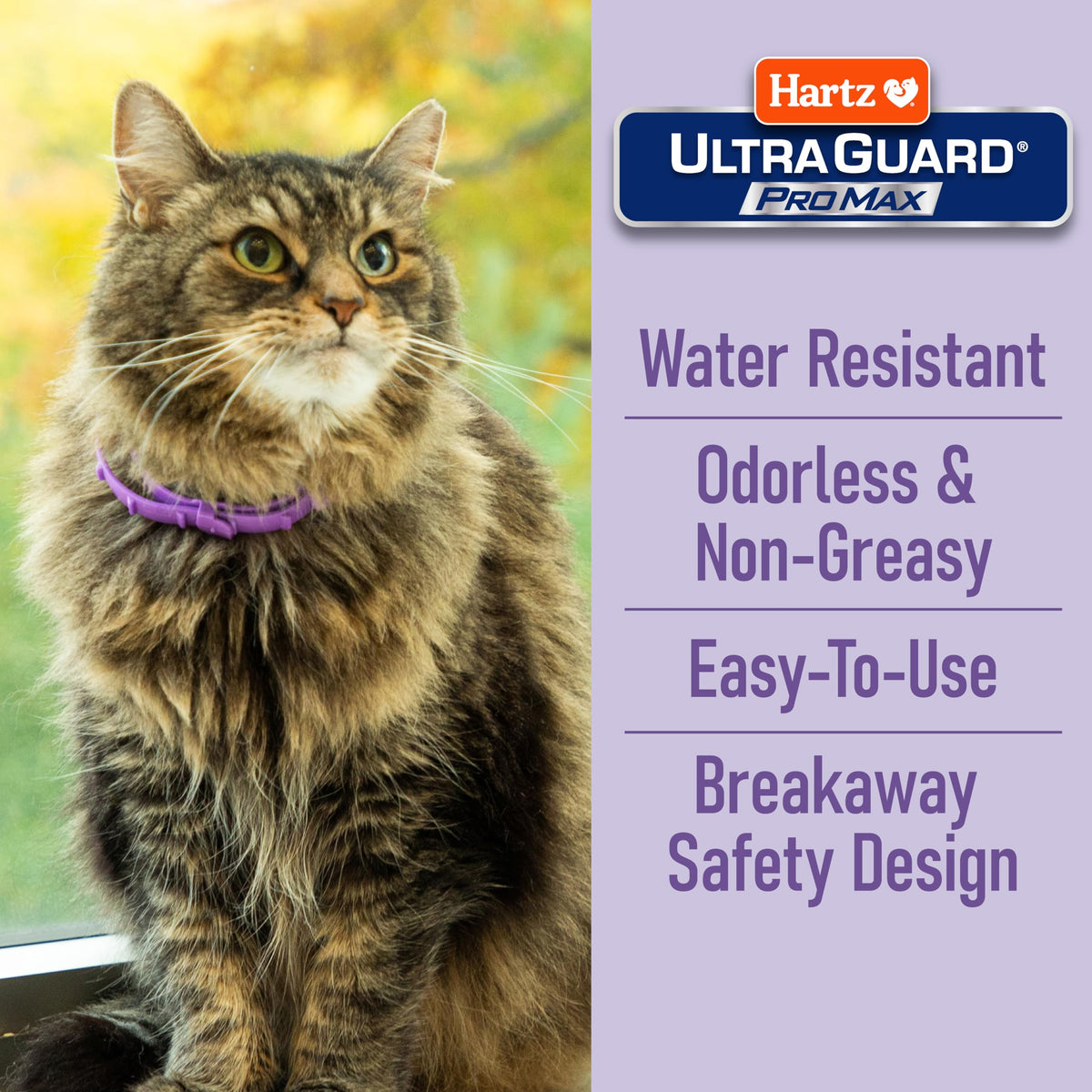 Flea & Tick Collar for Cats & Kittens 2 Pack H547
