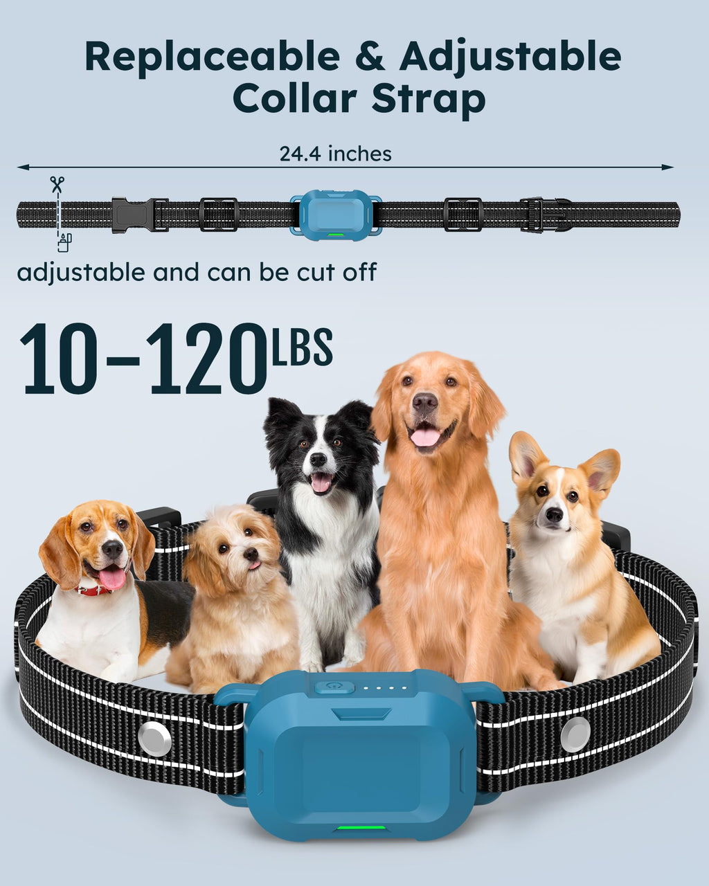 Dog Training Collar with Remote 2 Pack D22719