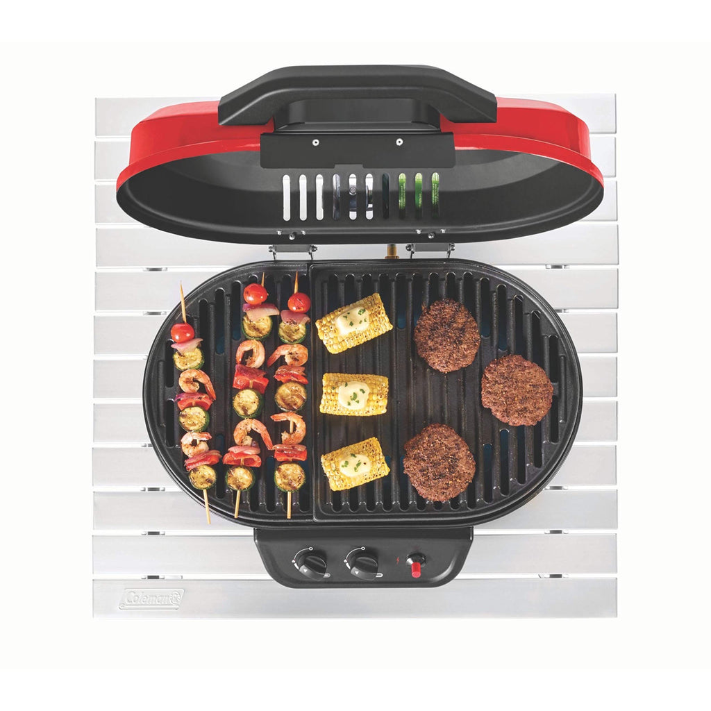 Portable 2-Burner Tabletop Gas Grill E18083