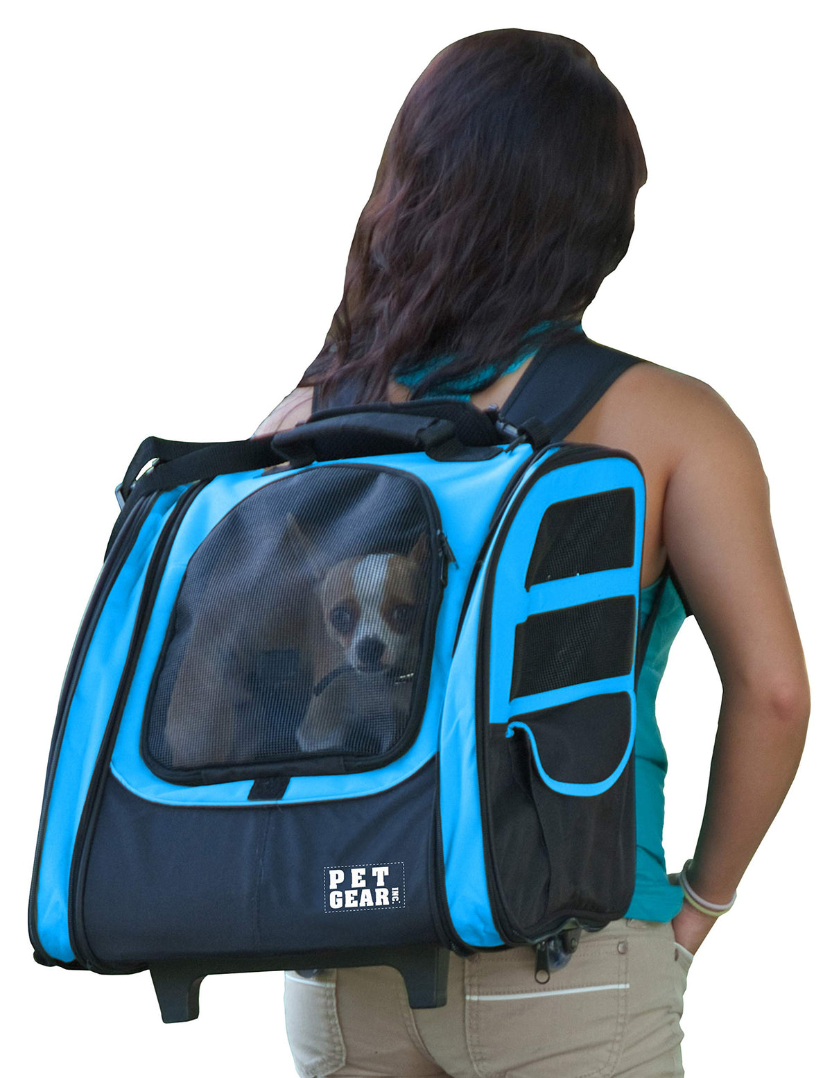 Large Traveler Backpack H45633
