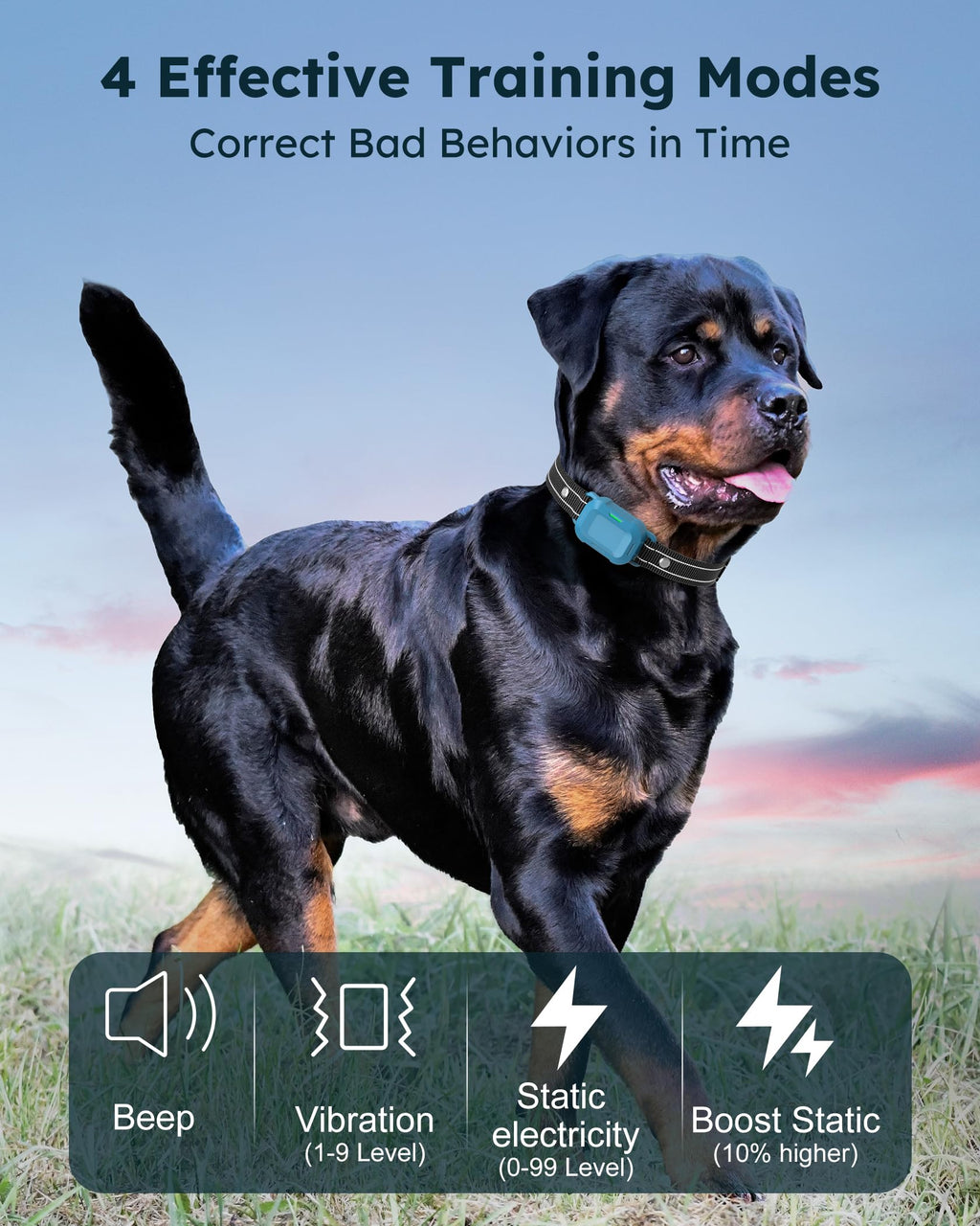 Dog Training Collar with Remote 2 Pack D22719