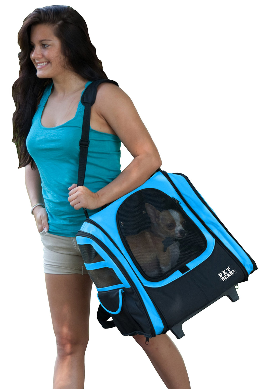 Large Traveler Backpack H45633
