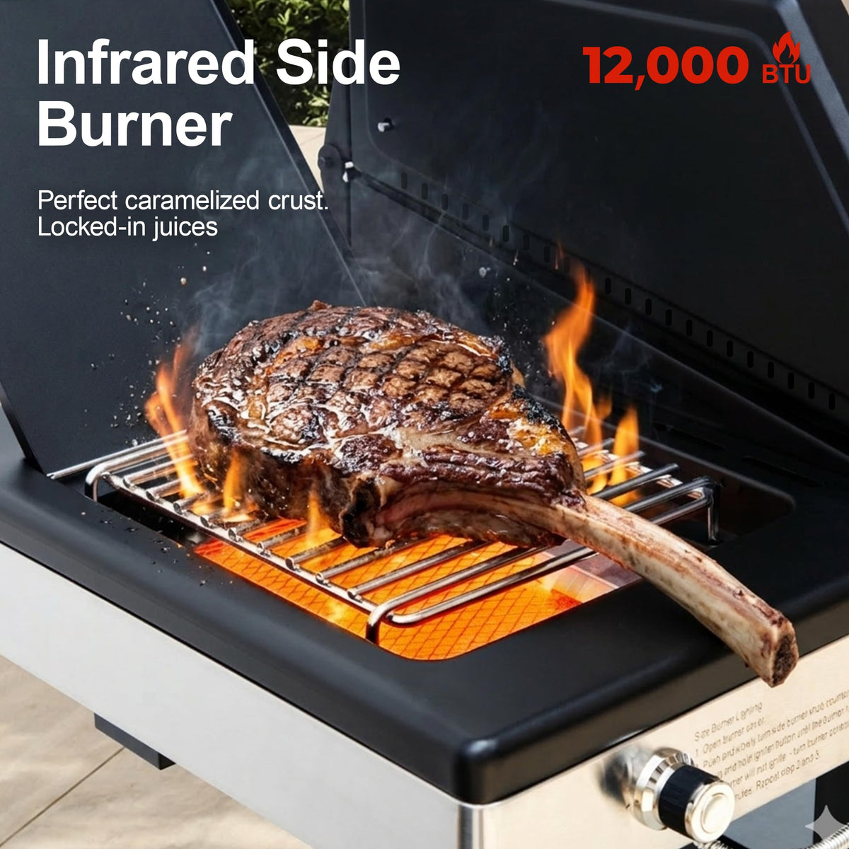 6-Burner Propane Gas Grill with Infrared Sear Side Burner U306