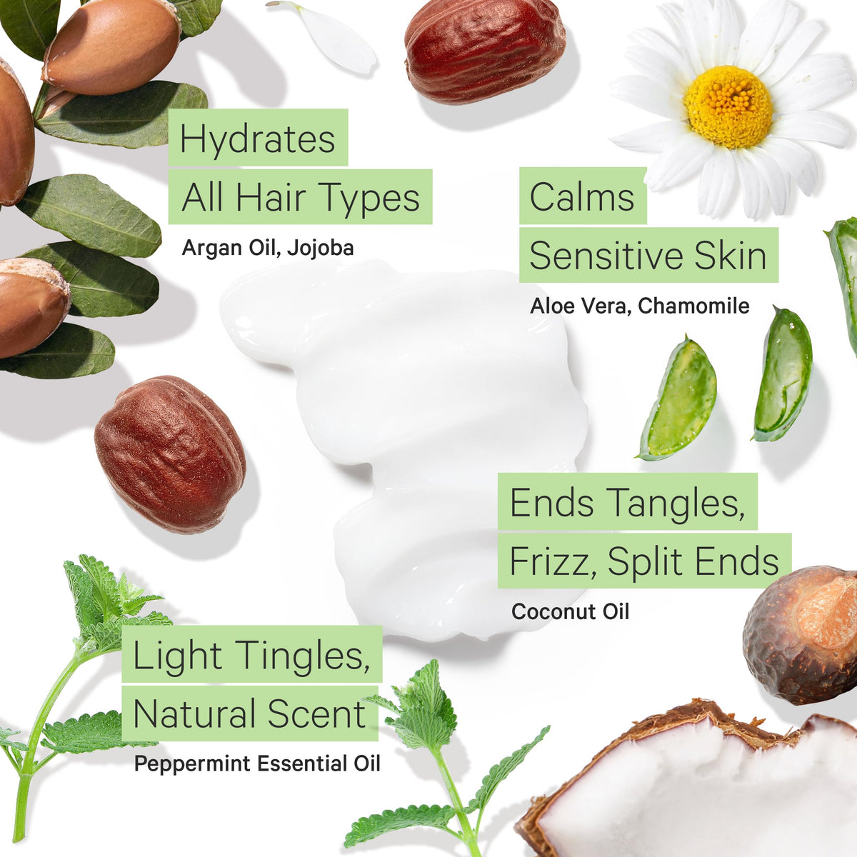 Fragrance Free Shampoo and Argan Oil Conditioner V466455
