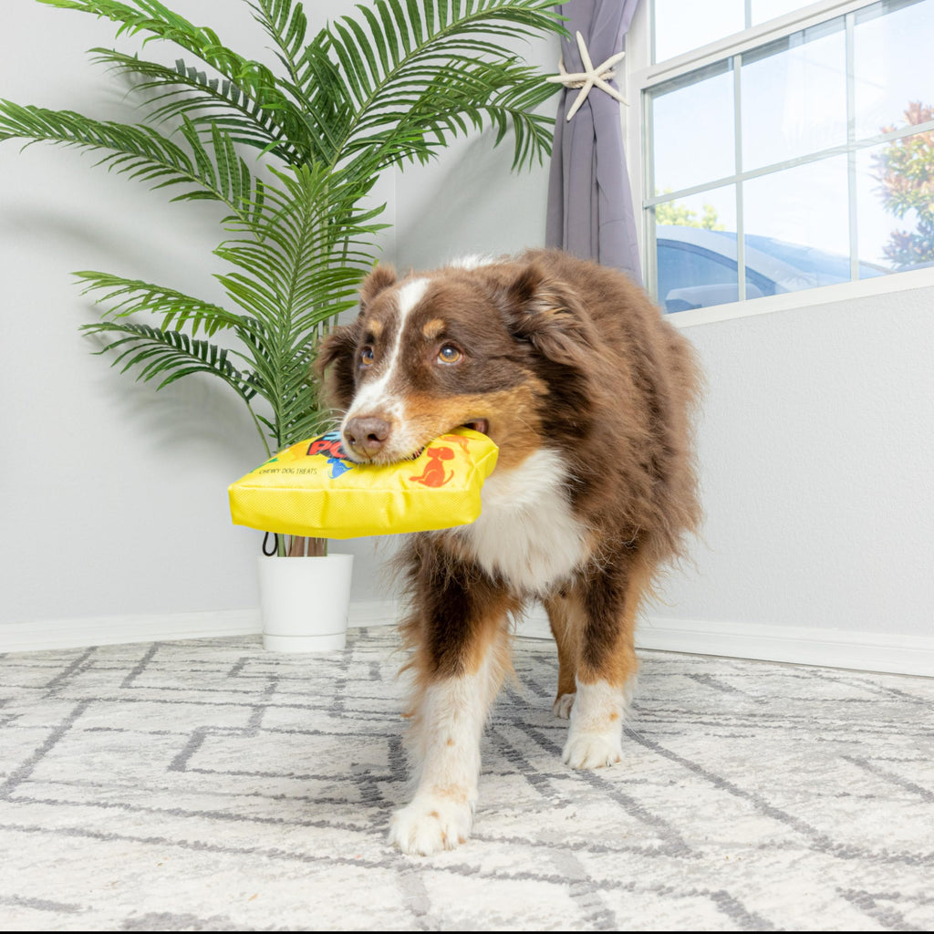 Dog Squeak Toy P72762