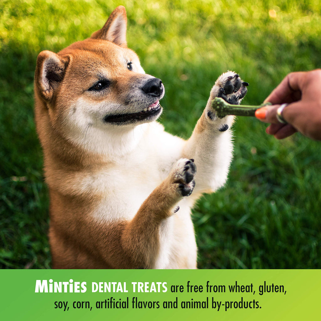 Minties Dog Dental Bone Treats C5125