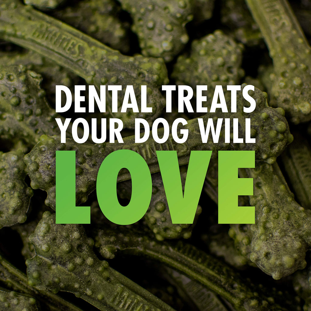 Minties Dog Dental Bone Treats C5125